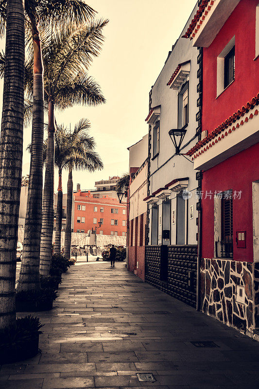 在西班牙特内里费岛的Puerto de la Cruz，棕榈树和色彩缤纷的建筑的晨景